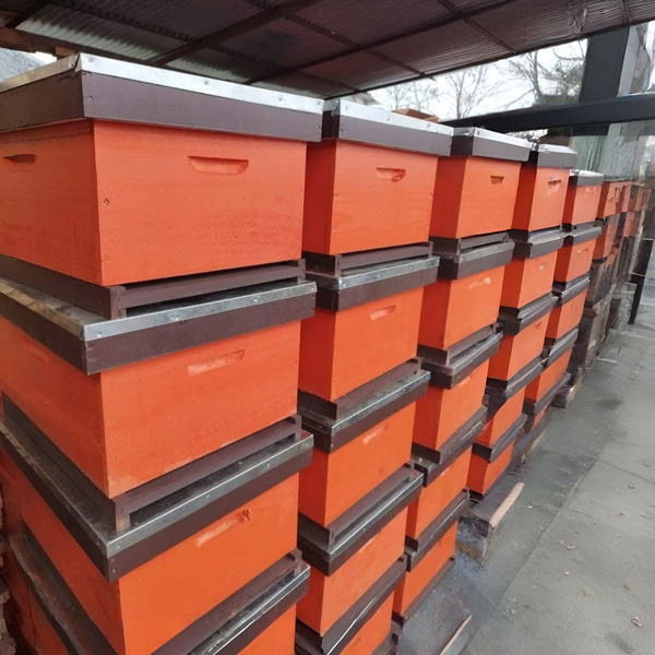 Gill Apiaries Beehive Pinewood
