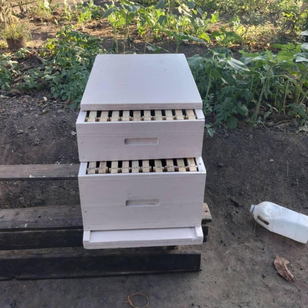 Gill Apiaries Beehive with Shallow Super